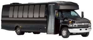 Luxury & Limo bus